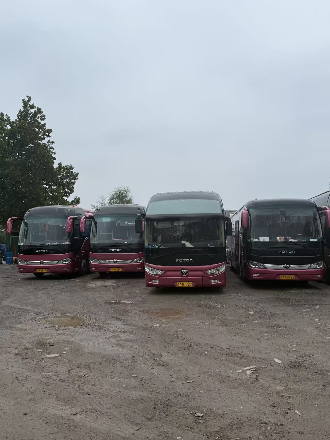 众悦汽车服务公司汽车展示图